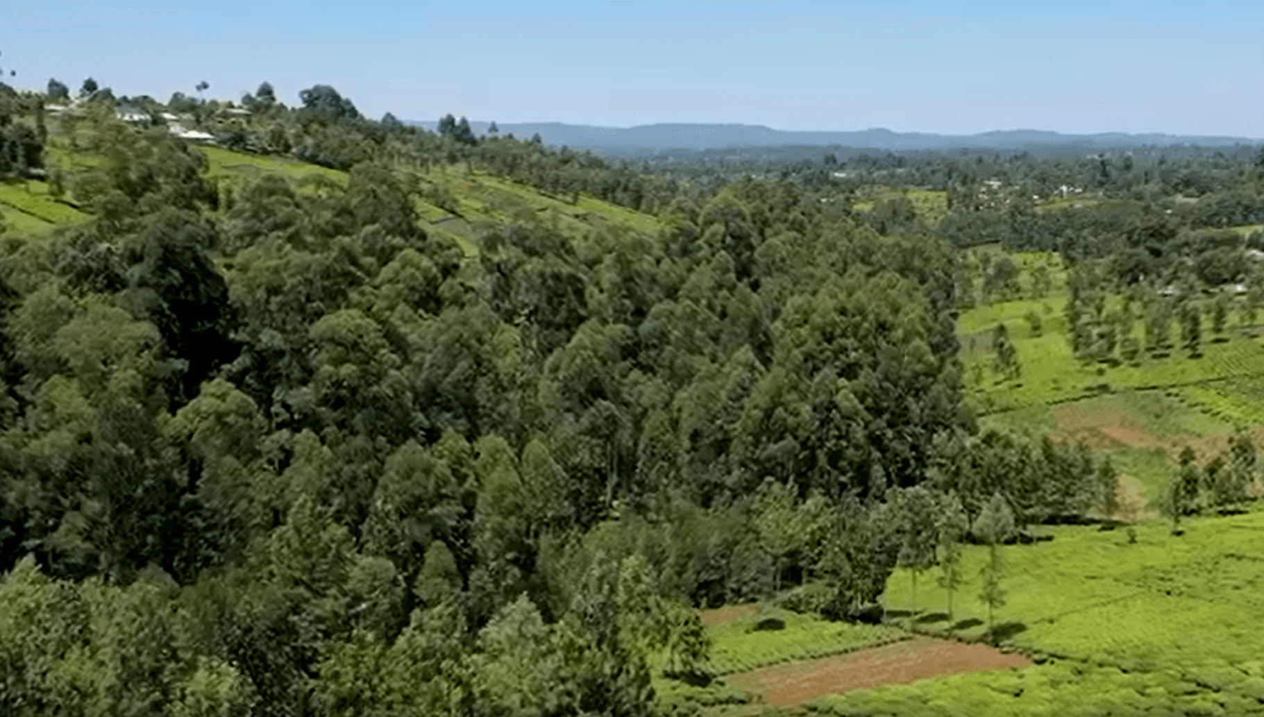 Modal video thumbnail